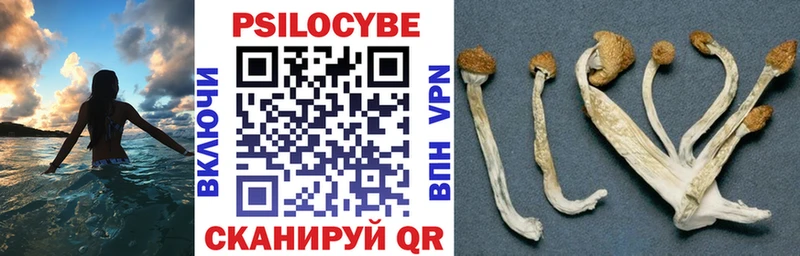 купить наркотики сайты  KRAKEN ТОР  Псилоцибиновые грибы MAGIC MUSHROOMS  Мураши 